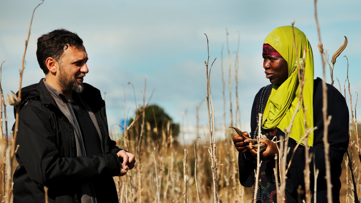 Interculturalidad y Acción Social.