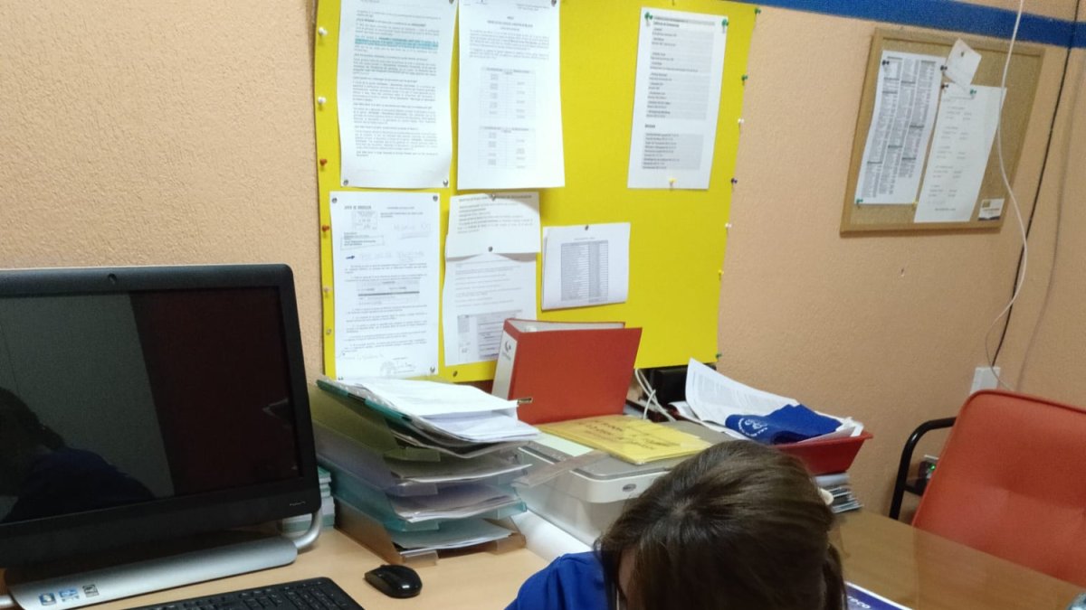 A partir del lunes 18 todos los centros escolares abrirán sus puertas para, entre otros trámites, iniciar las matriculaciones.