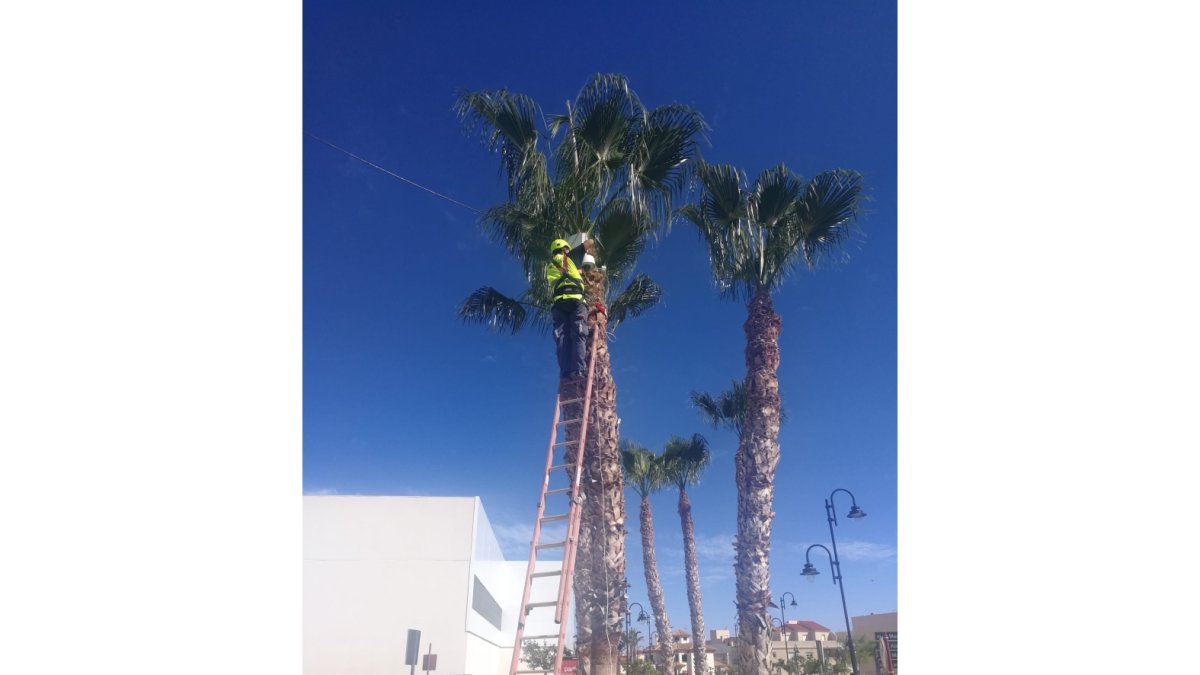 Instalación de cámaras de vigilancia en el mercado de Vera.