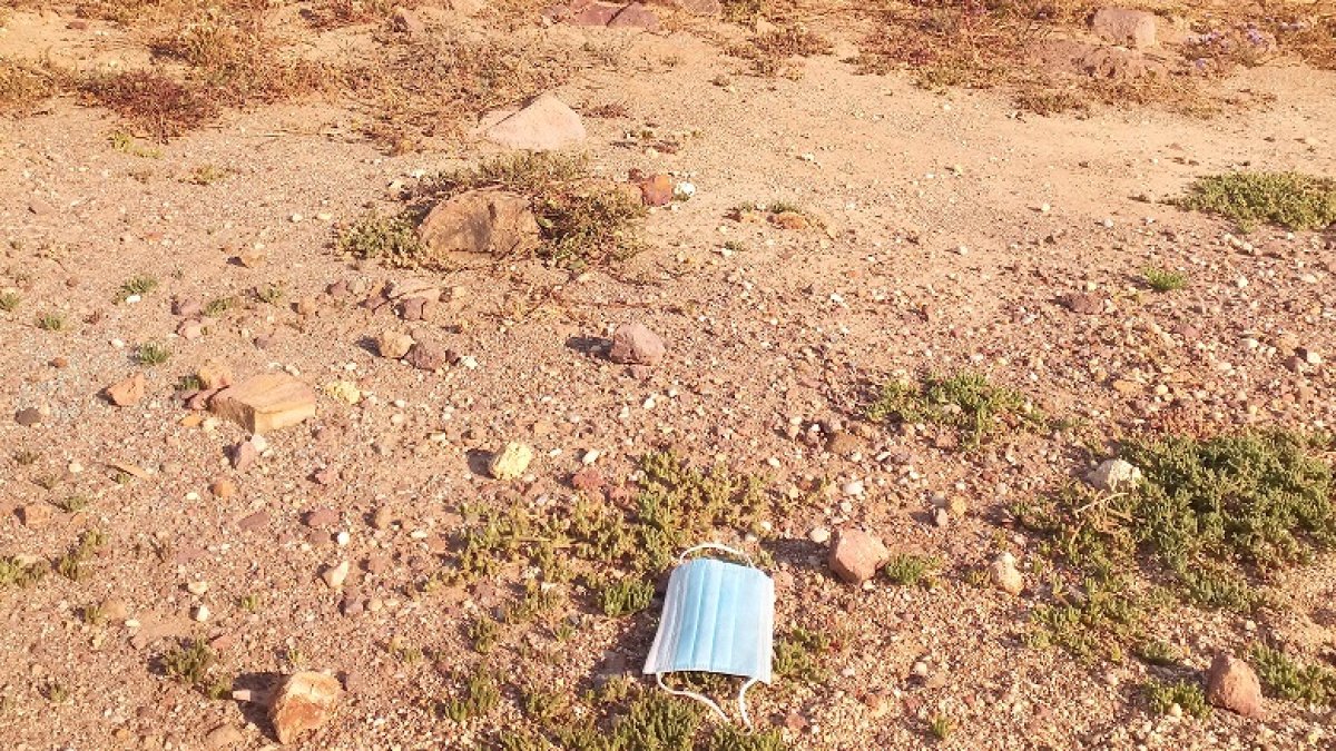 Mascarilla abandonada en el Parque Natural Cabo de Gata- Níjar.