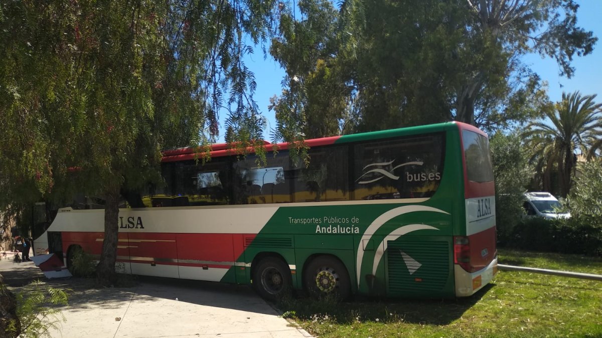Plano cercano del autobús empotrado en la zona ajardinada de Los Pinos