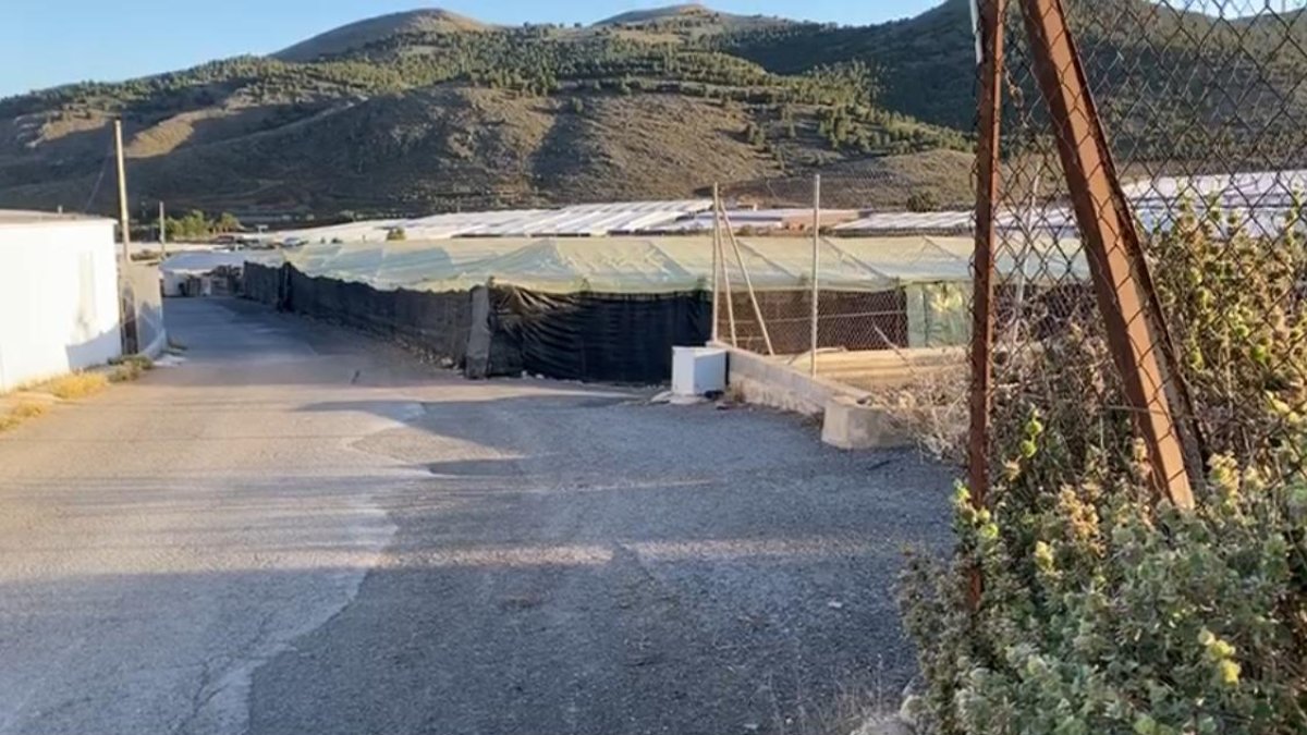 Camino de Cortijo Grande.