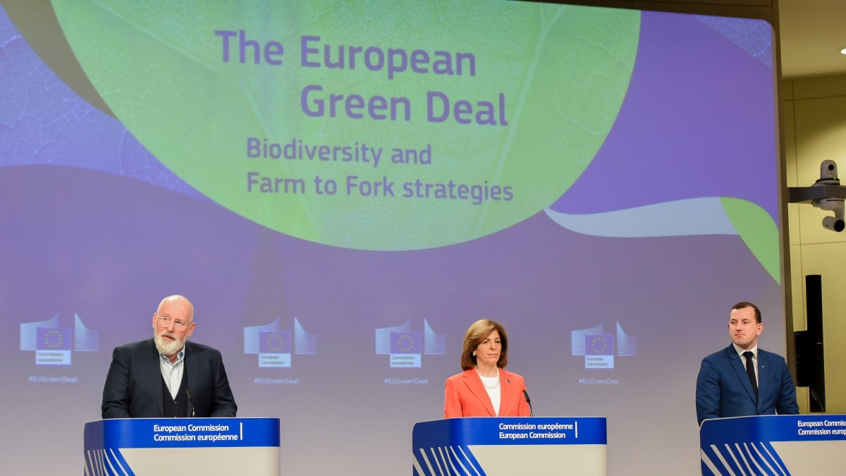 Presentación estrategias Pacto Verde.