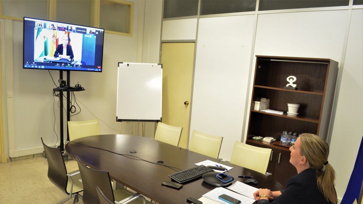 La diputada de Deportes, María Luisa Cruz, en el Foro telemático.