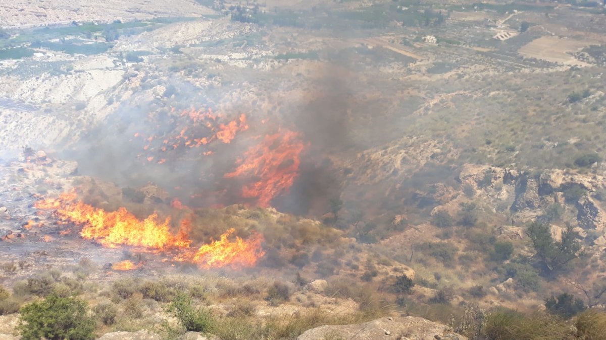 Imagen del Infoca del incendio de Terque.