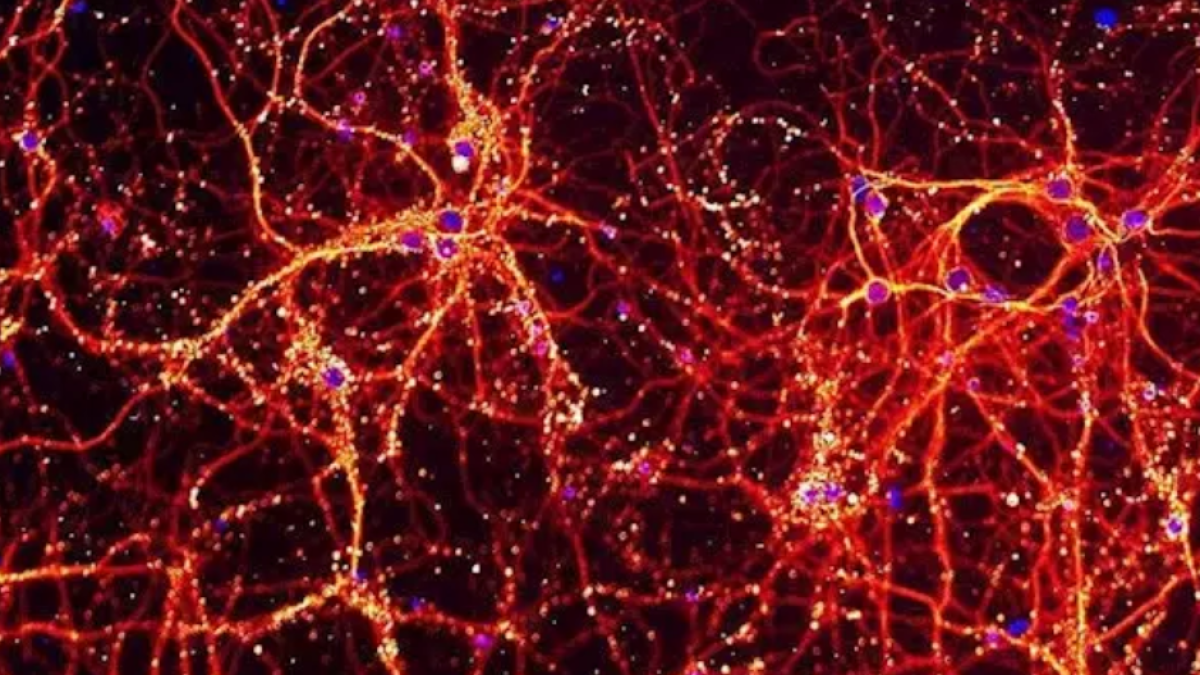 Aunque el nuevo coronavirus comenzó a conocerse en el mes de diciembre, ya se han publicado más de 4.000 artículos científicos acerca del tema.