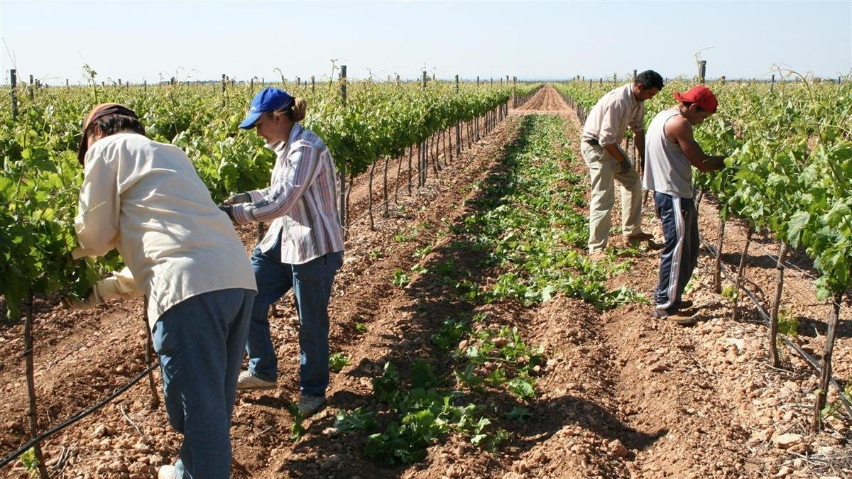 Los jóvenes nacinales podrán tener permiso de trabajo y de residencia.