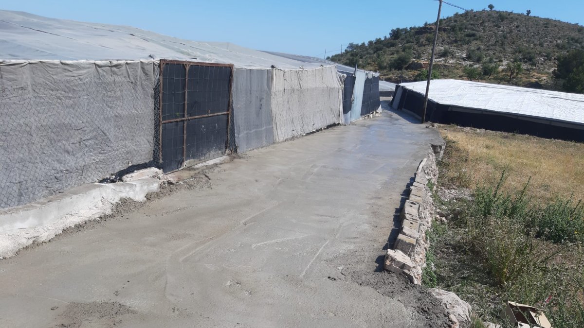 Caminos rurales del municipio.