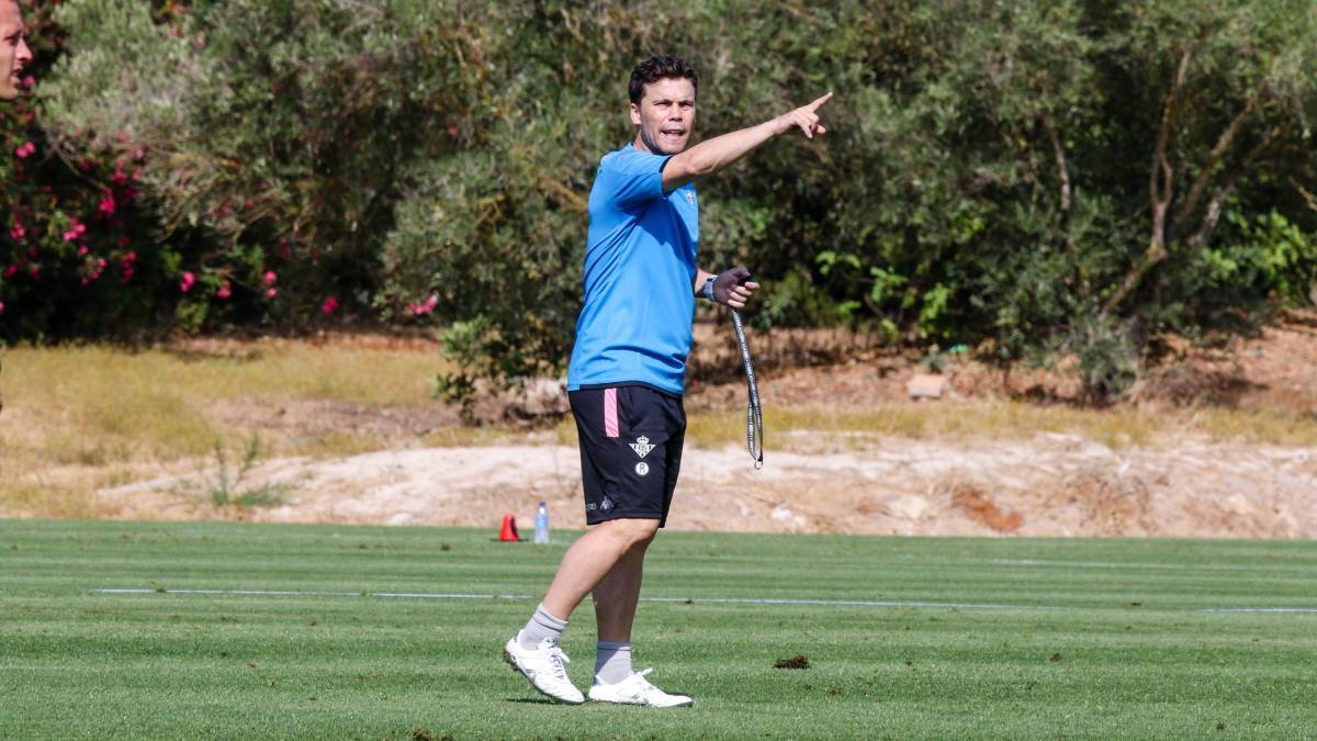 Rubi sufre una fractura en el radio de su brazo izquierdo.