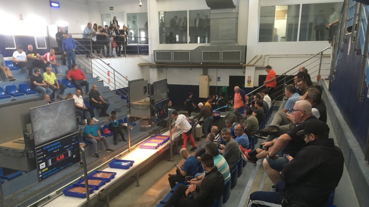 Subasta de marisco fresco en la lonja de Almería.