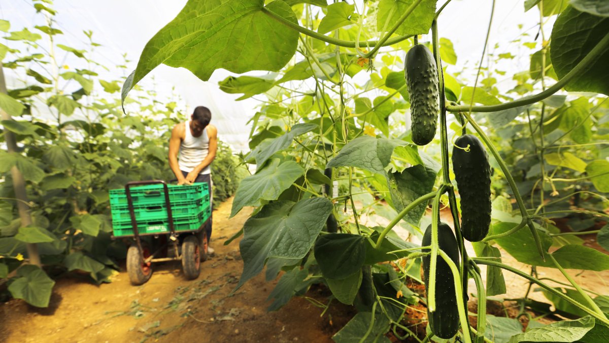 Instalaciones de un proveedor de Mercadona.