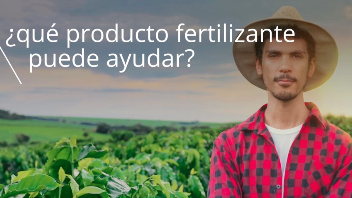 Imagen de la campaña.