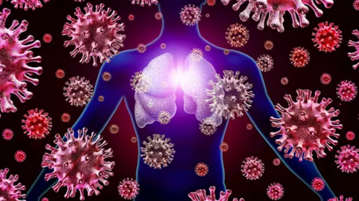 Los linfocitos son célular encargadas de la defensa del cuerpo frente a virus.