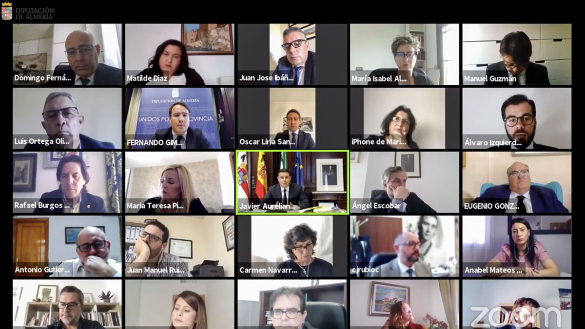 Conexión telemática a través de la Diputación.