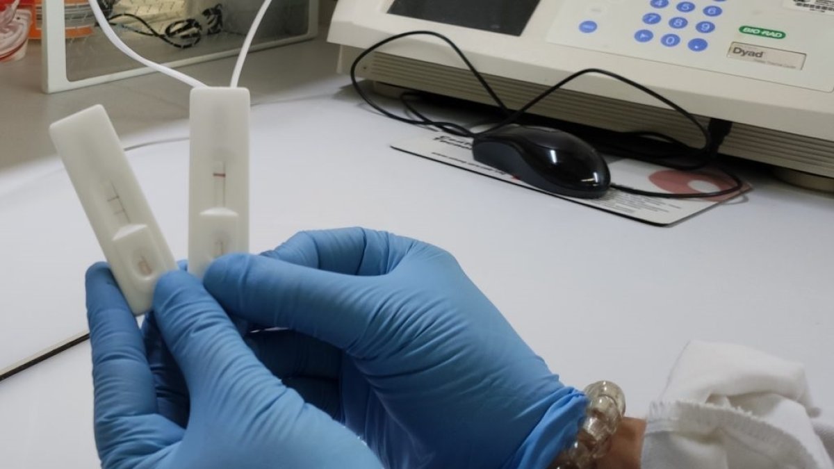 Los docentes se realizarán test rápidos para detectar el Covid-19.