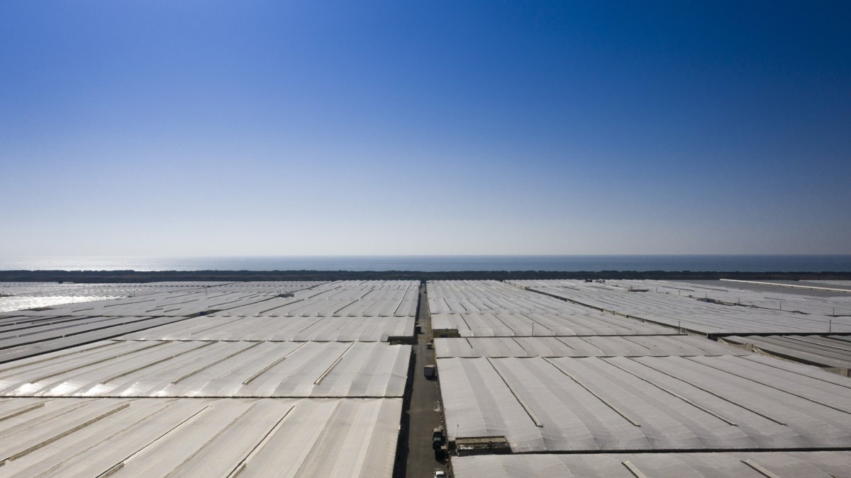 Novihum Un sistema productivo eficiente.