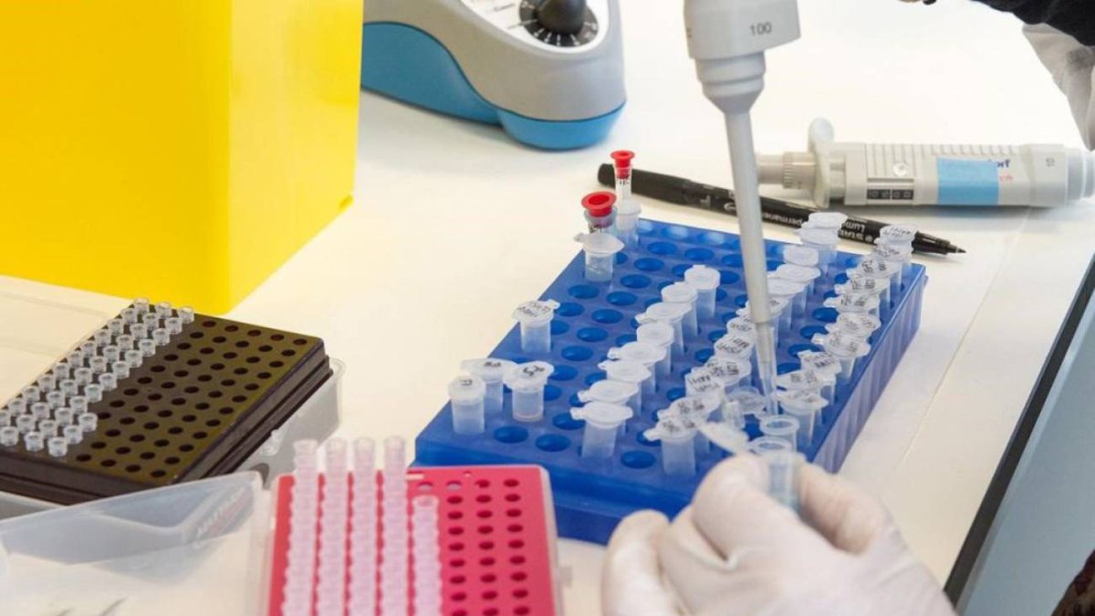 Nuevo avance para vencer a la enfermedad. Foto:  JCCM/ Cadena SER