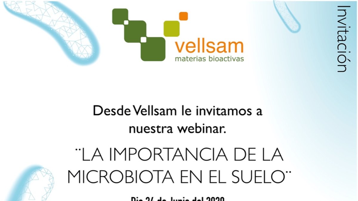 Cartel del webinar internacional.