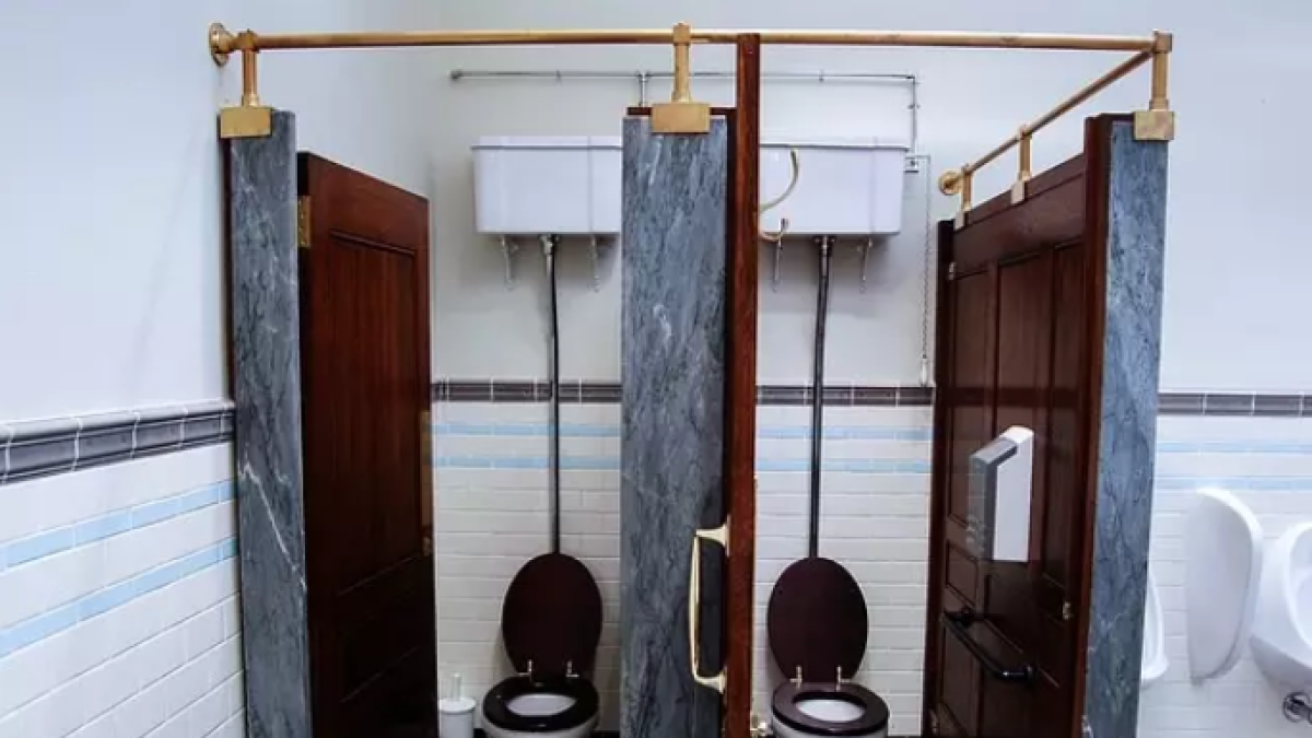 Los expertos recomiendan bajar la tapa antes de enjuagar el retrete.