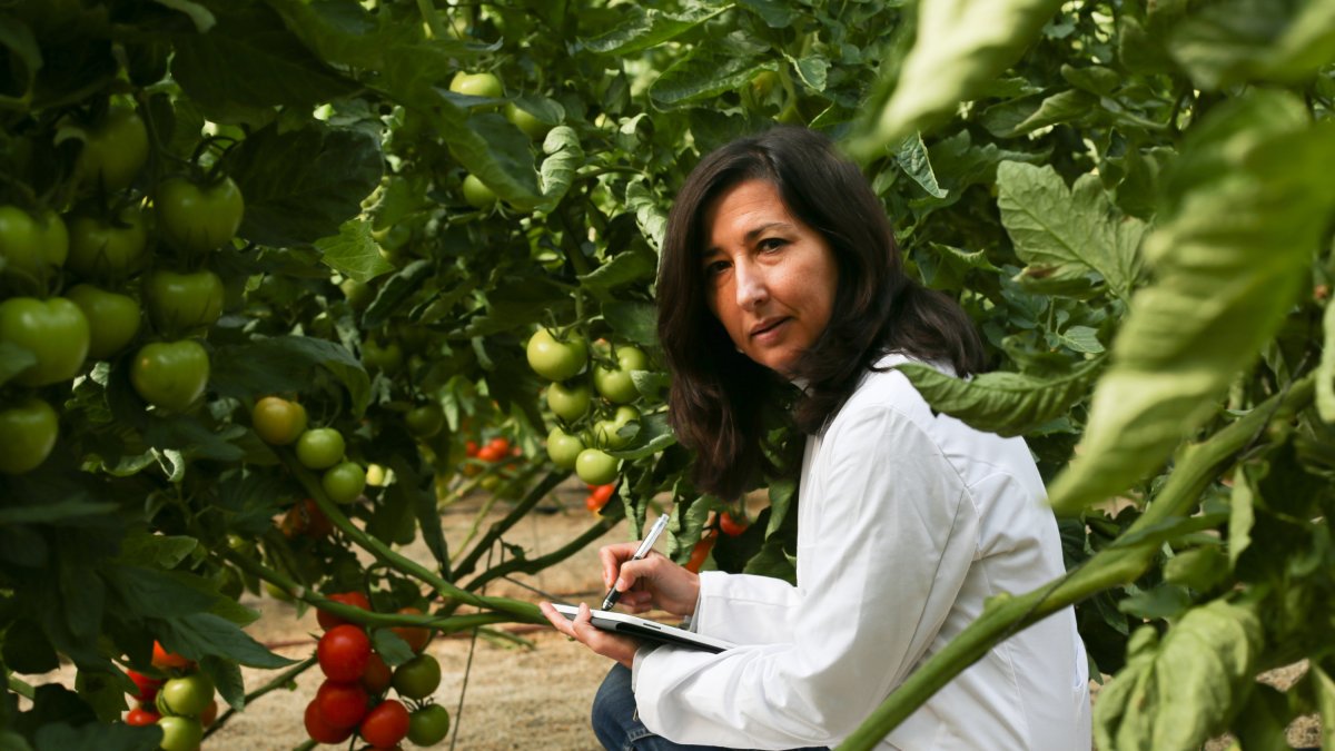 María Dolores Fernández, en Las Palmerillas