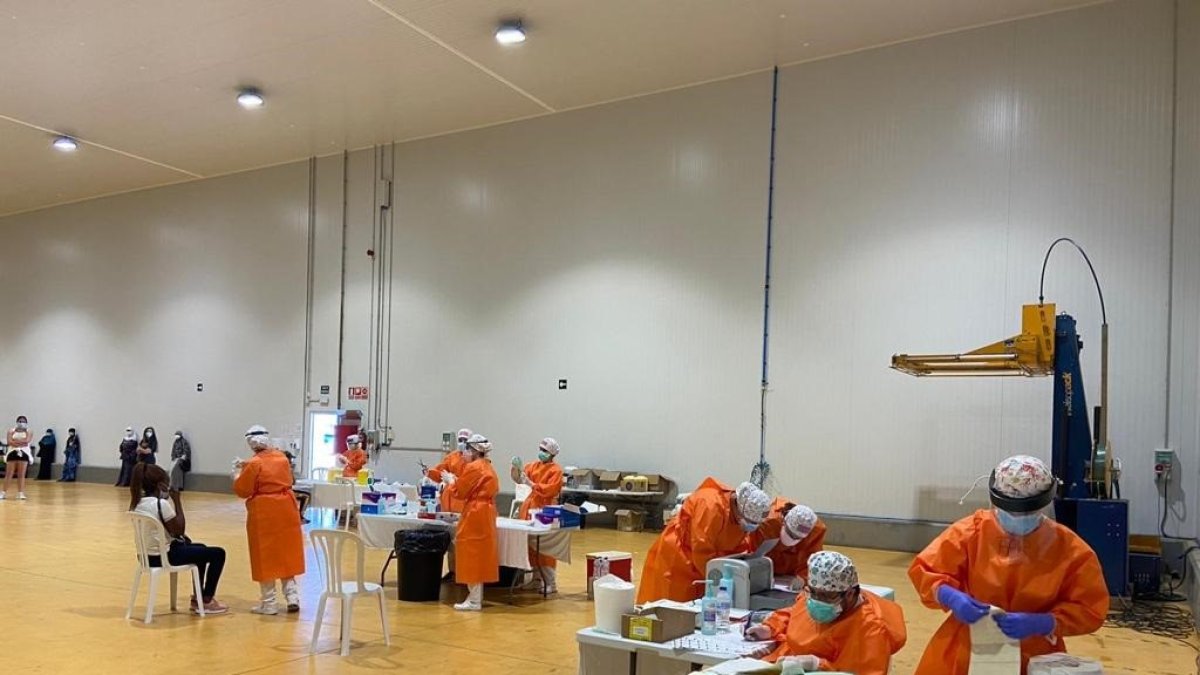 Pruebas PCR realizadas en la empresa hortofrutícola del Bajo Cinca.
