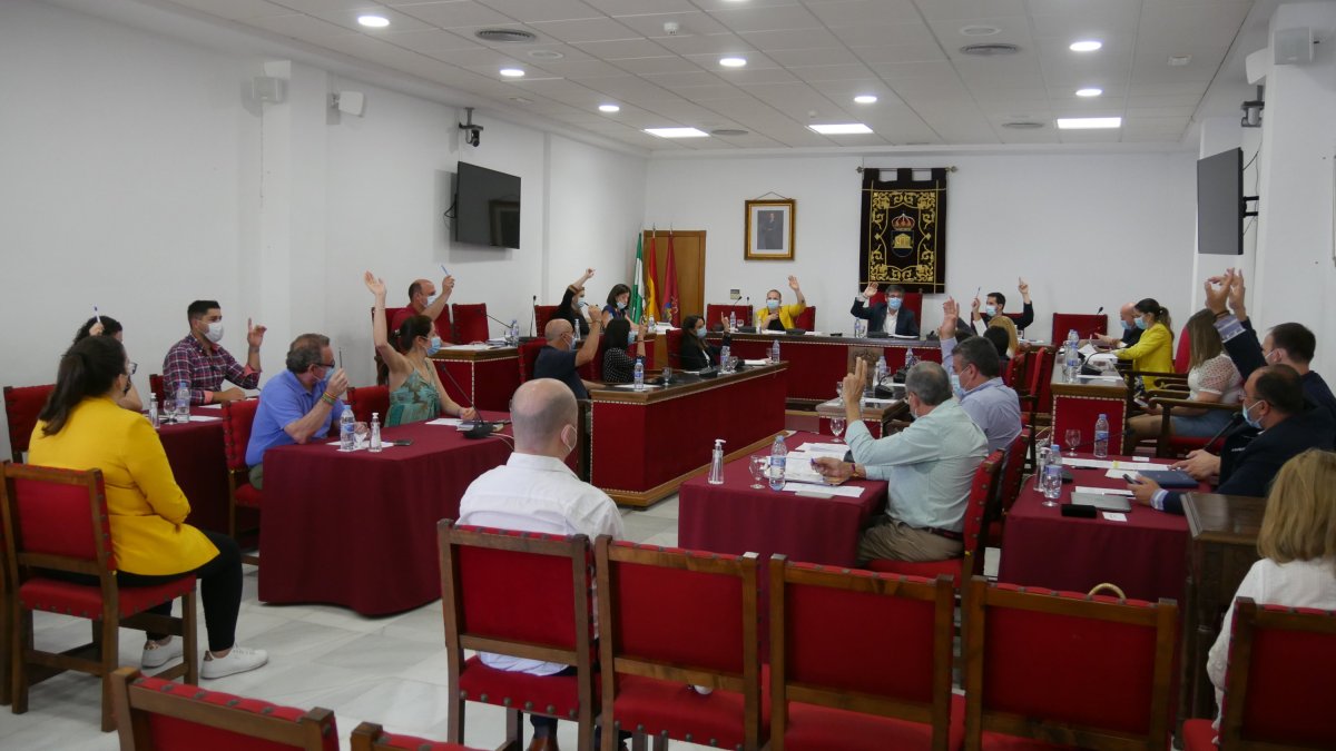 El pleno aprueba por unanimidad la admisión de esta donación.