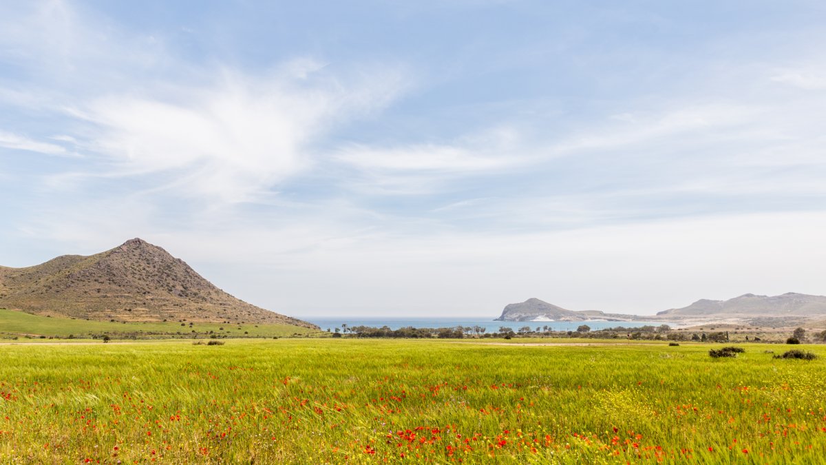 La Playa de Los Genoveses se encuentra a dos kilómetros del cortijo Las Chinqueras. Foto de Chema Artero.