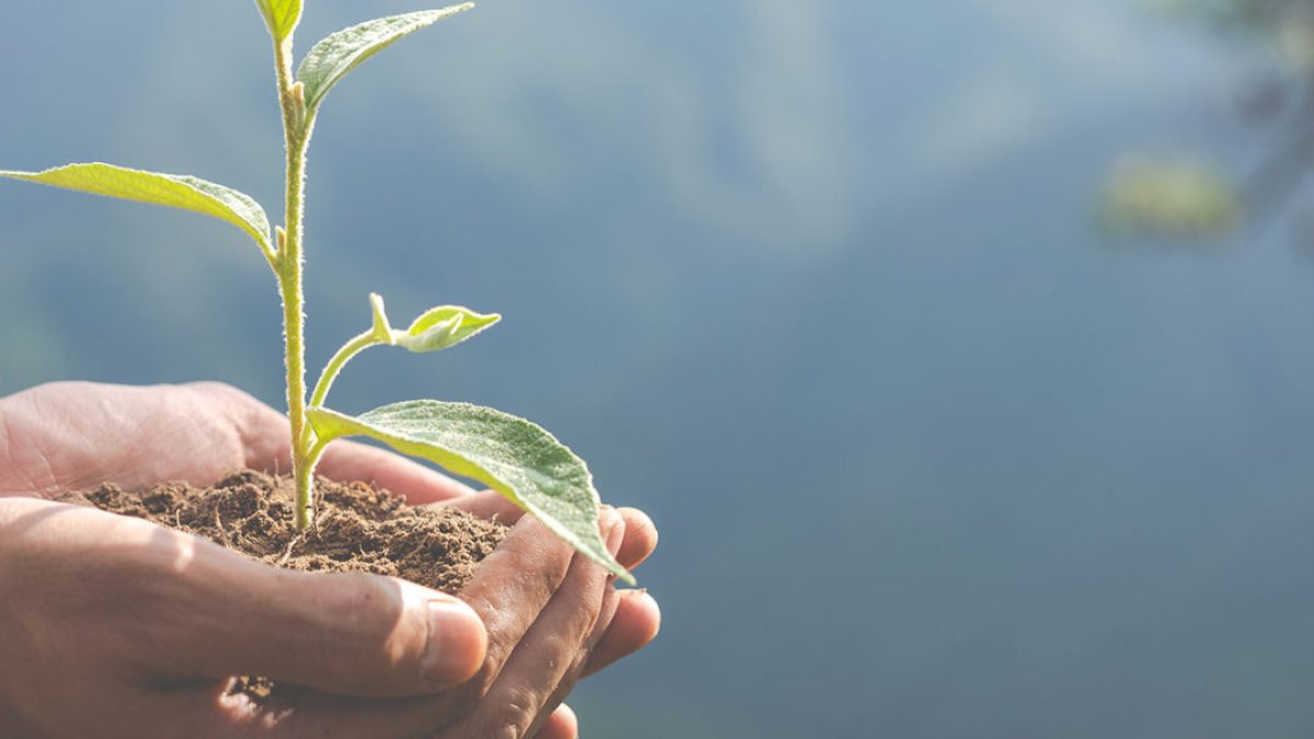 Las nuevas instalaciones de Inagro están en el Polígono de los Primores, en La Mojonera. (Foto: inagroagricola.com)