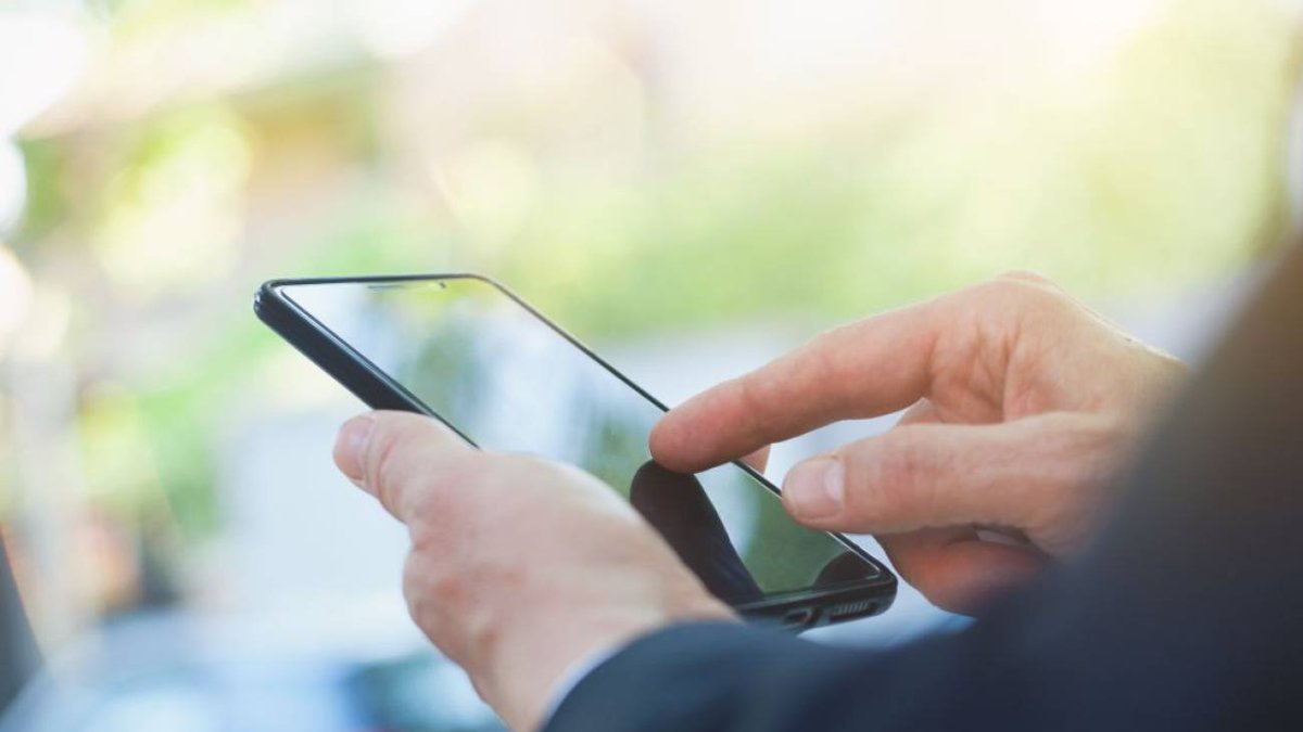 La aplicación abre el inicio de usuario de la red social para conseguir las claves de acceso.