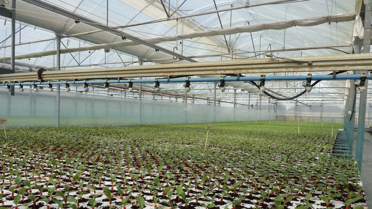 El proyecto trata de mejorar los rendimientos en la producción ecológica