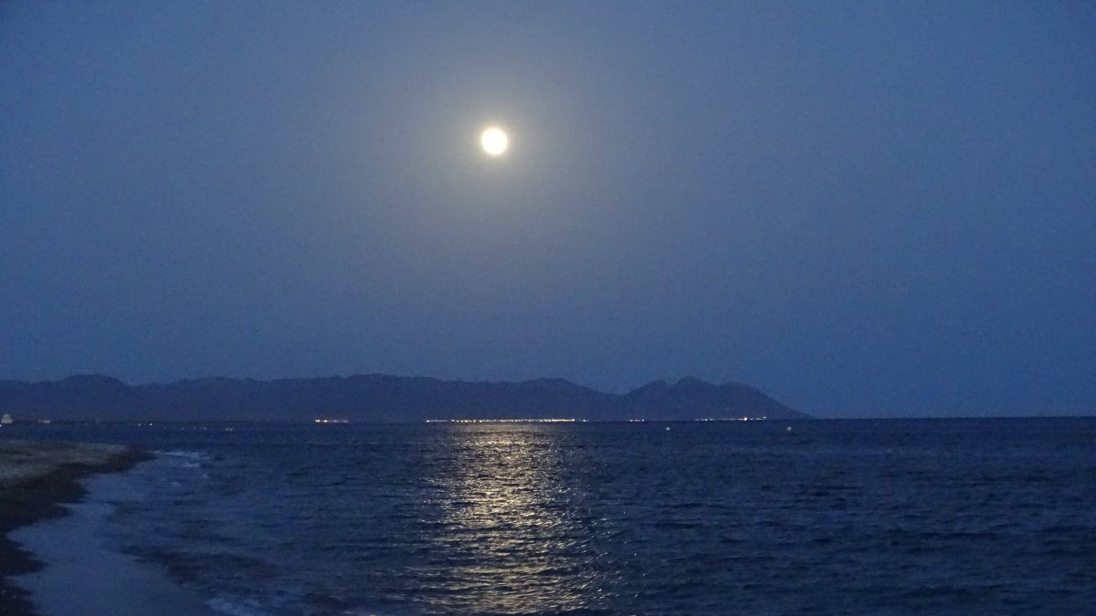 Así se observó desde la playa de El Toyo-Retamar. Foto de Ralu Vivien Lacroix.