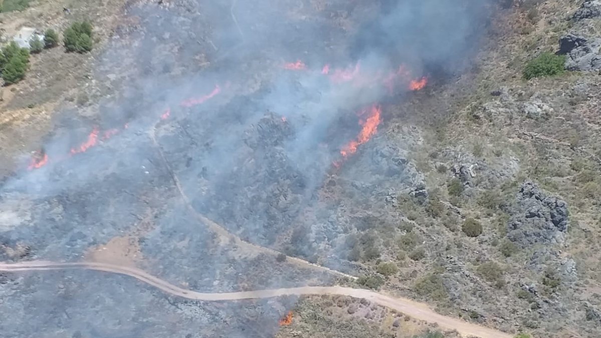 Imagen publicada por el Plan Infoca en su cuenta de Twitter.