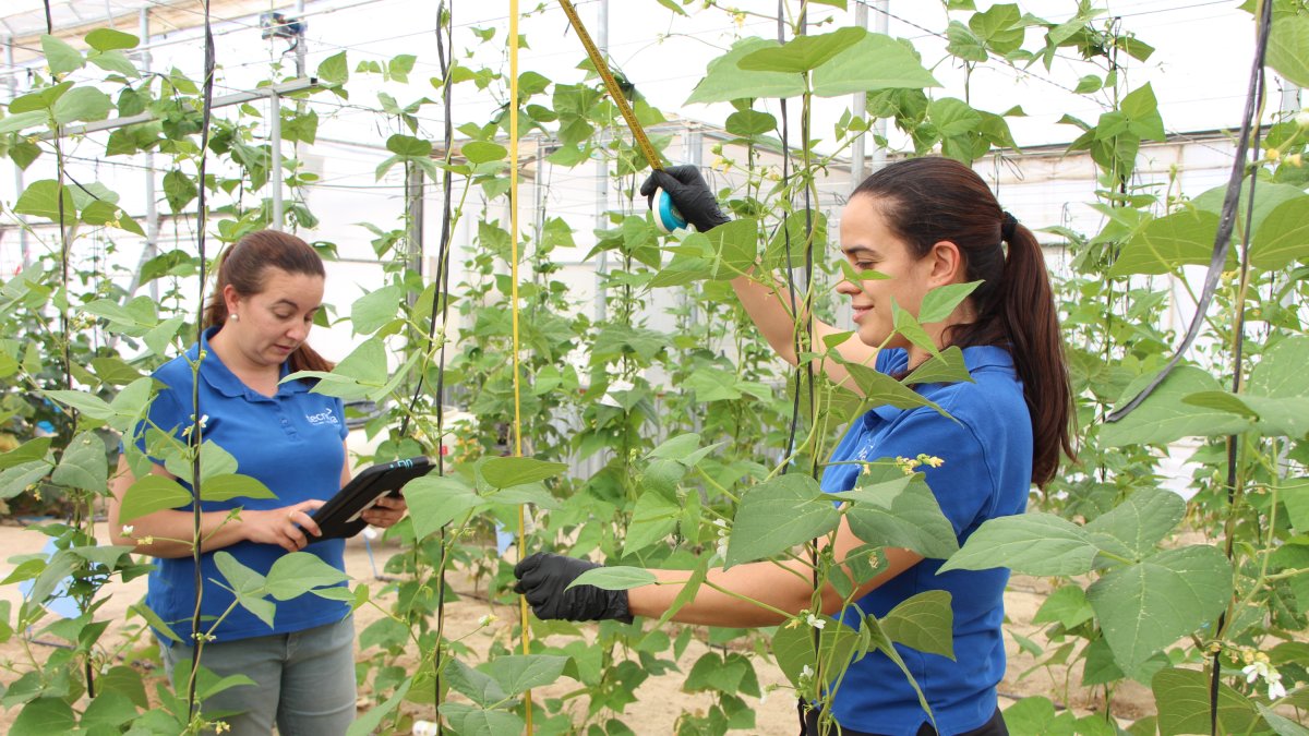 Operarias en el Centro Experimental Tecnova.