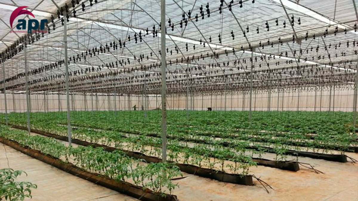 Marruecos quiere reforzar su apuesta por el invernadero