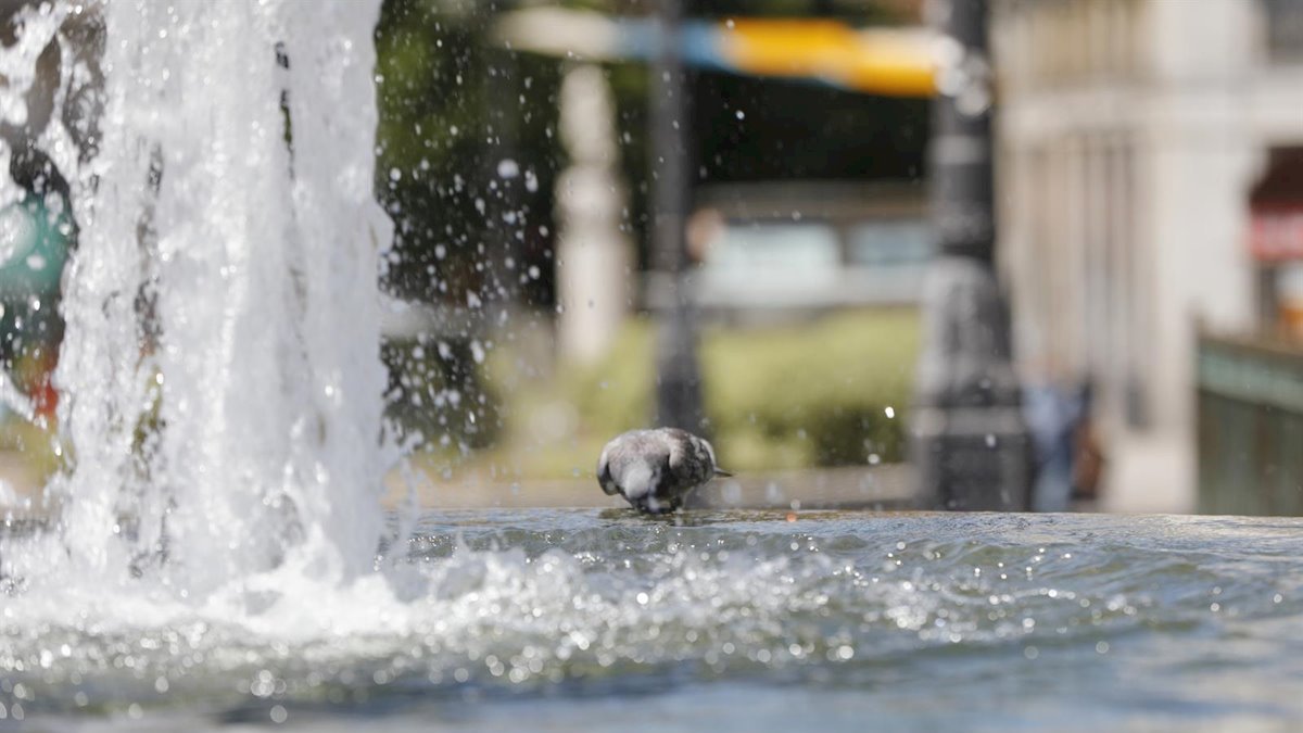 El viento de levante y el calor van a ser protagonistas esta semana en la provincia.