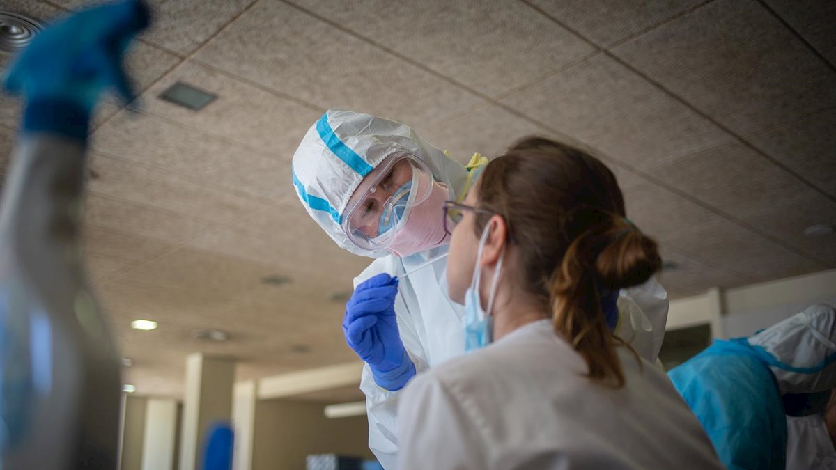 Realización de pruebas PCR.