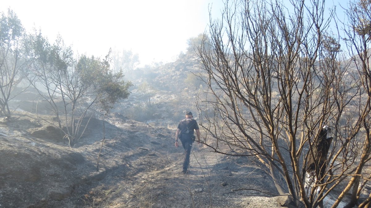 Terreno calcinado tras el incendio del pasado 21 de junio.