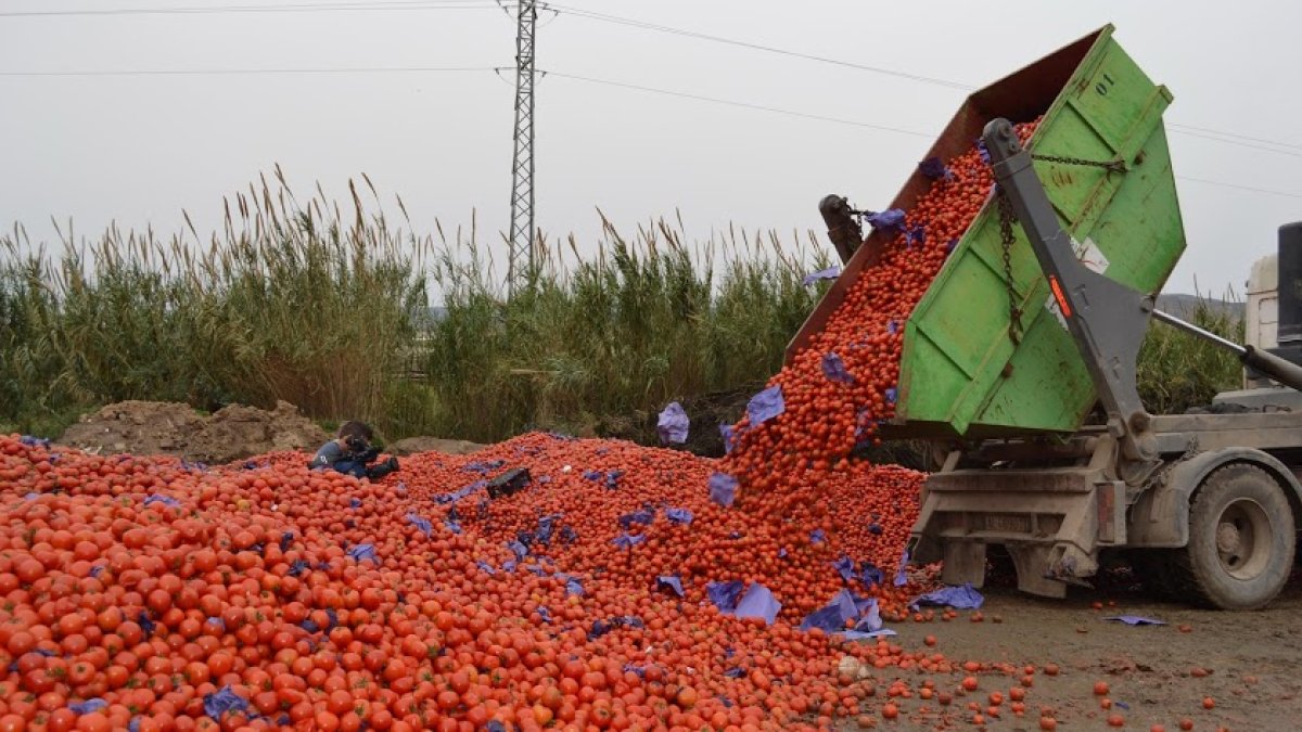 Imagen de archivo de un camión volcando en el suelo un contenedor cargado de tomates.