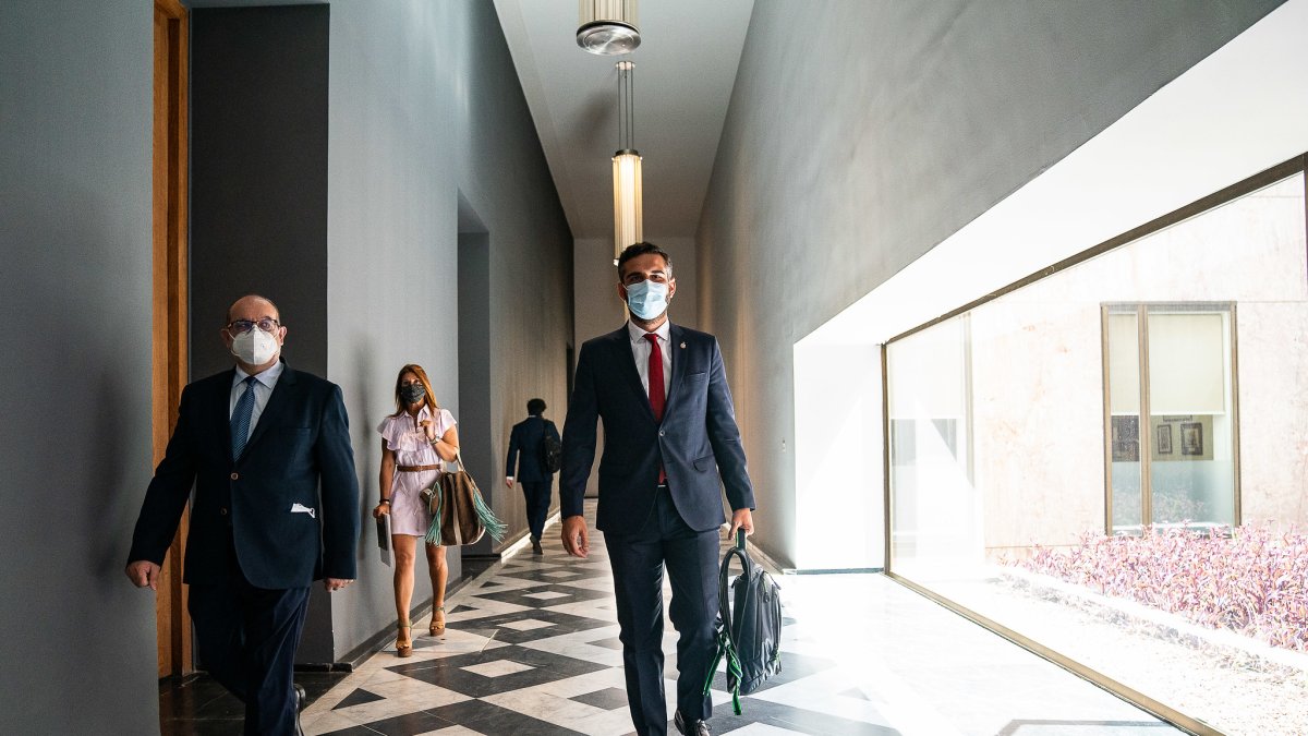 Ramón Fernández-Pacheco llega a San Telmo.