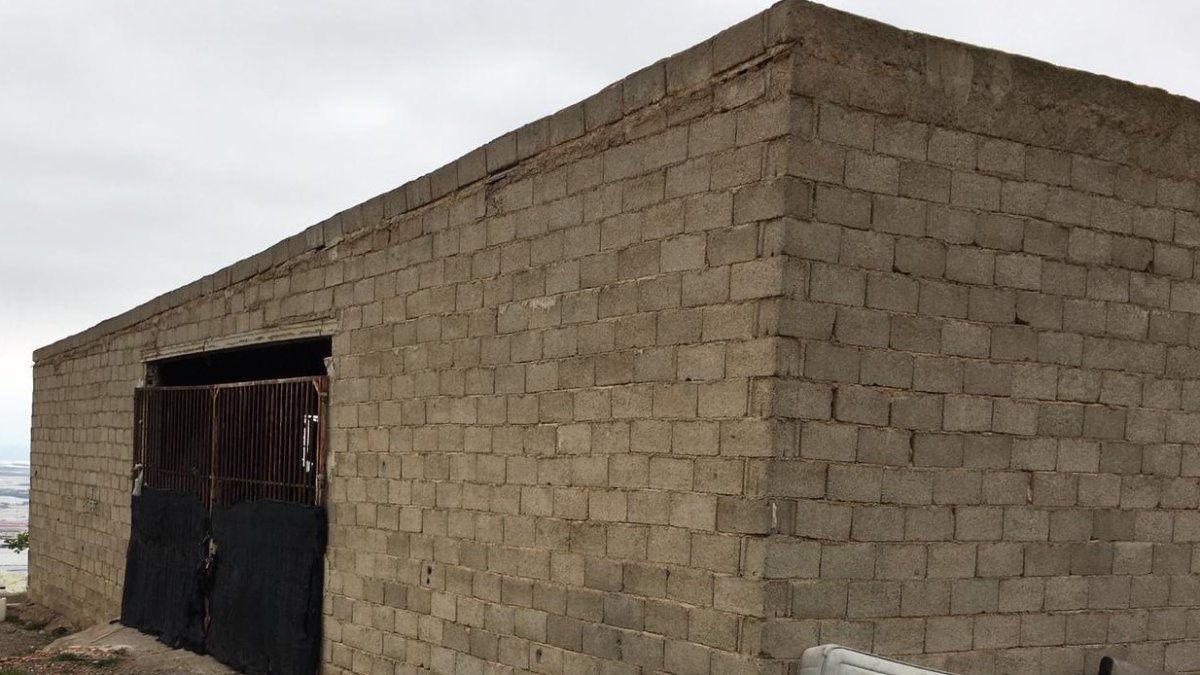 Infravivienda derribada en el municipio de El Ejido.