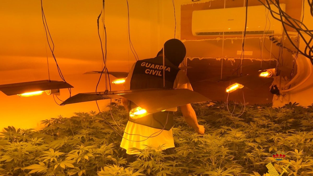Un agente de la Guardia Civil en una de las plantaciones descubiertas