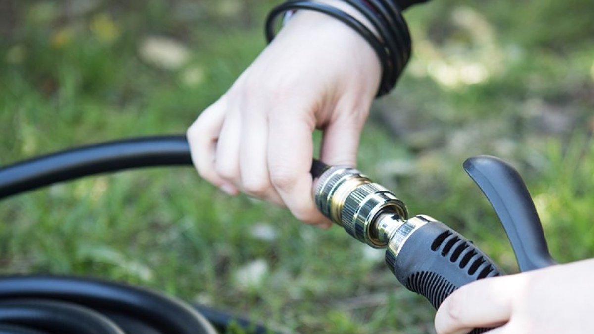 Maximizan el bienestar de las plantas.