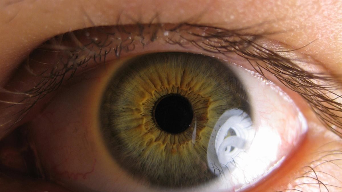 El tamaño de la pupila, clave en las enfermedades cardíacas.