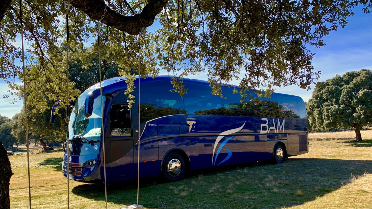 Líneas de la empresa BAM, de Almería-Madrid y de Almería-Cartagena.