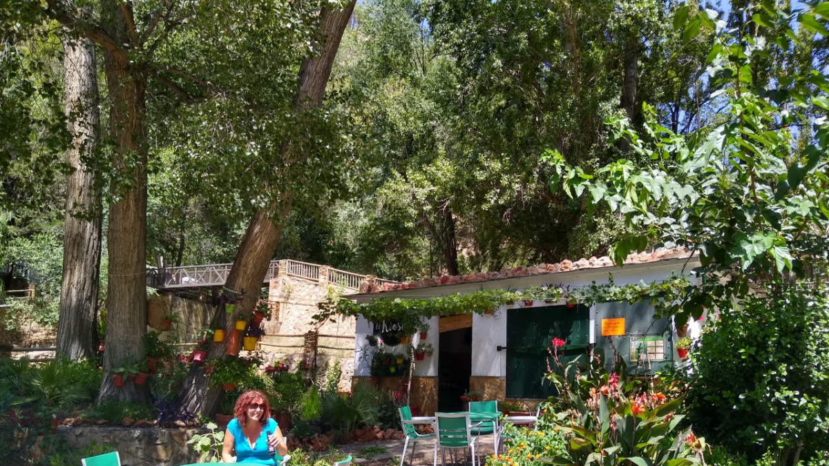Vista del original bar con un jardín en el que predomina la vegetación.