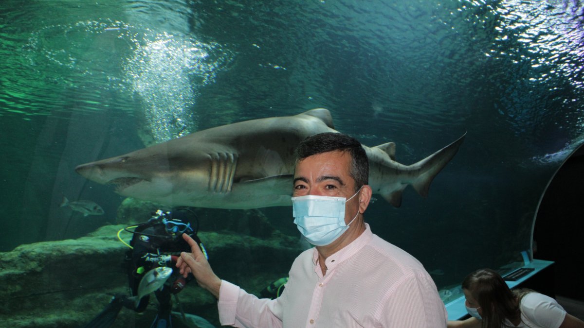 Enrique Fernández ante el tiburón toro \'Romero\', en el Aquarium Costa de Almería.