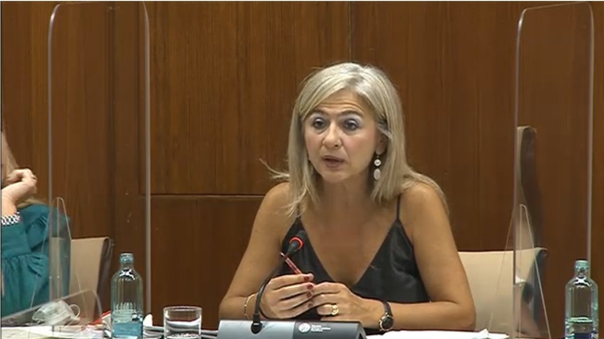 Patricia del Pozo, ayer durante su intervención en la Comisión de Cultura.