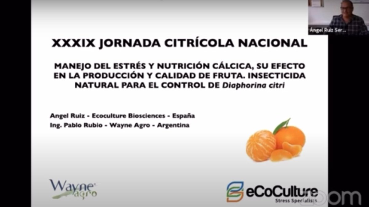 Imagen de las jornadas.