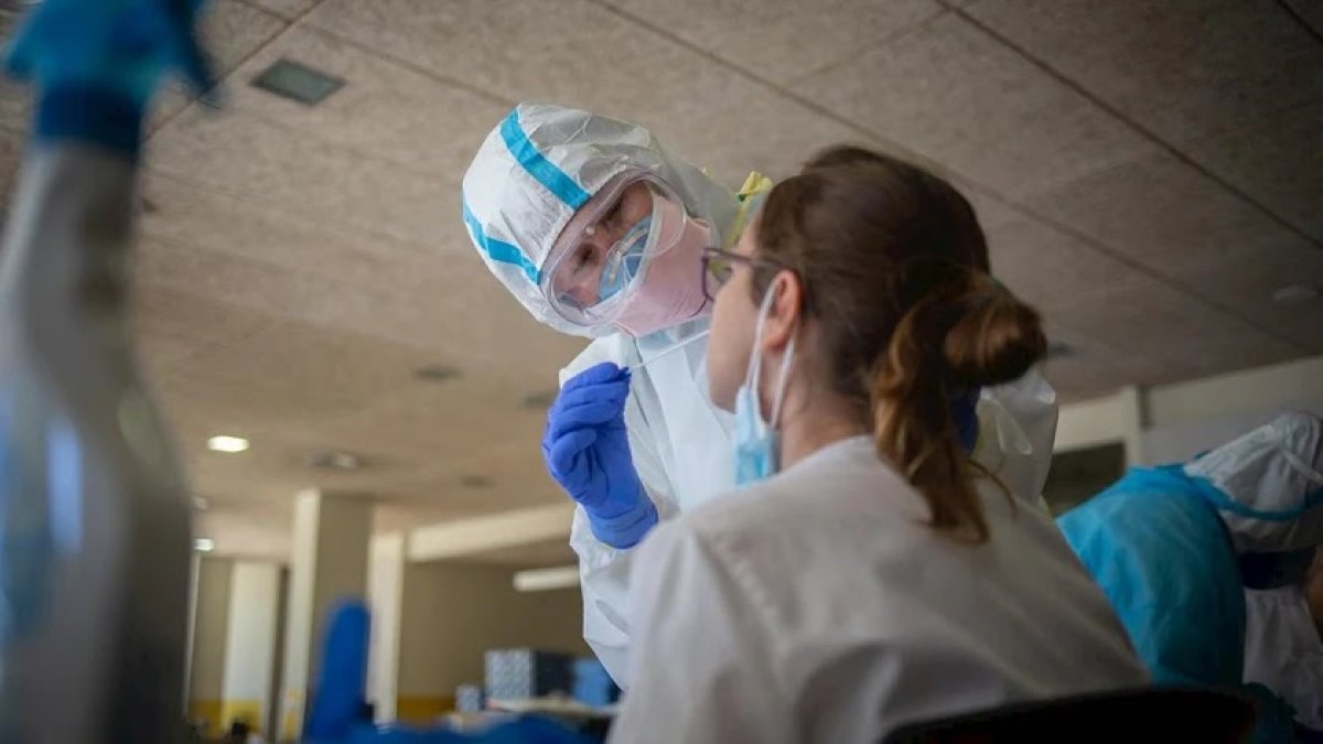 Realización de pruebas PCR.