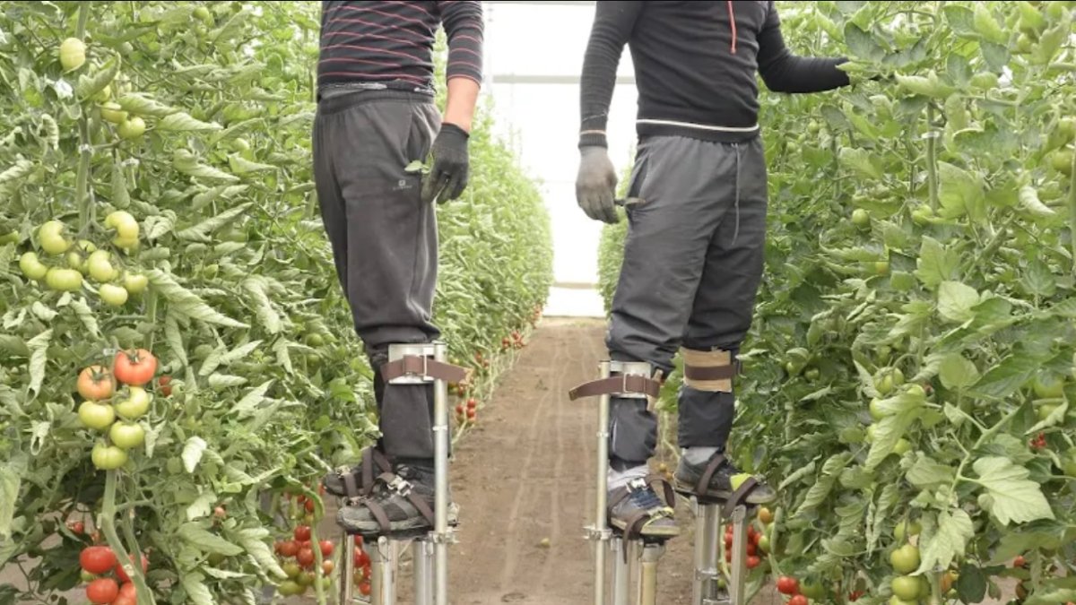 Han pedido defender los intereses de agricultores y ganaderos.